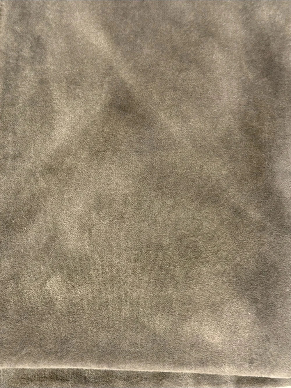 Quince thick velvet